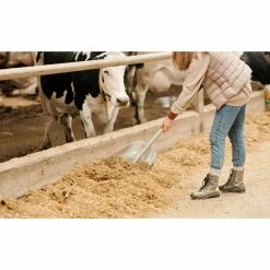 Husky 31 in. Wood Handle D-Grip Plastic Scoop Shovel 12 Husky 31 in. Wood Handle D-Grip Plastic Scoop Shovel -ToolHub Shop husky shovels 77540 945 44 1000